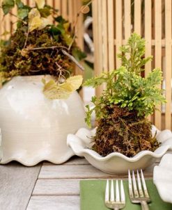 Coton Colors Signature White Ruffle Bowl 9 Coton Colors Signature White Ruffle Bowl -VilleroyBoch shop 21530774 fpx