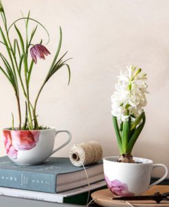 Villeroy & Boch Rose Garden Coffee Cup 3 Villeroy & Boch Rose Garden Coffee Cup -VilleroyBoch shop 22301713 fpx