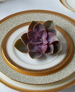 Noritake Odessa Gold Set Of 4 Bread Butter And Appetizer Plates, Service For 4 4 Noritake Odessa Gold Set Of 4 Bread Butter And Appetizer Plates, Service For 4 -VilleroyBoch shop 24055443 fpx
