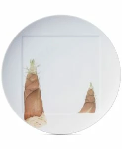 Noritake Kyoka Shunsai Bamboo Shoot Dinner Plate